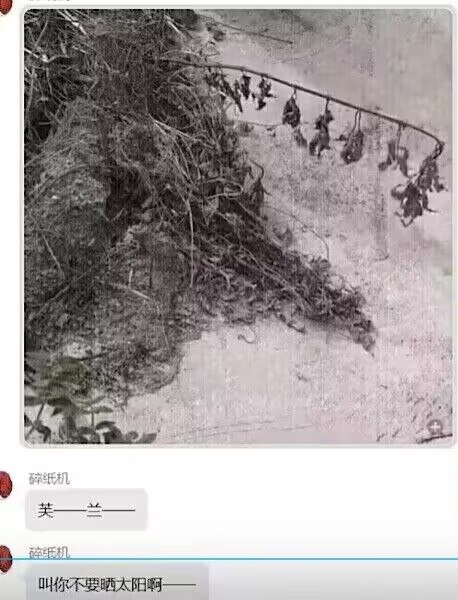 via Haiun Bccny