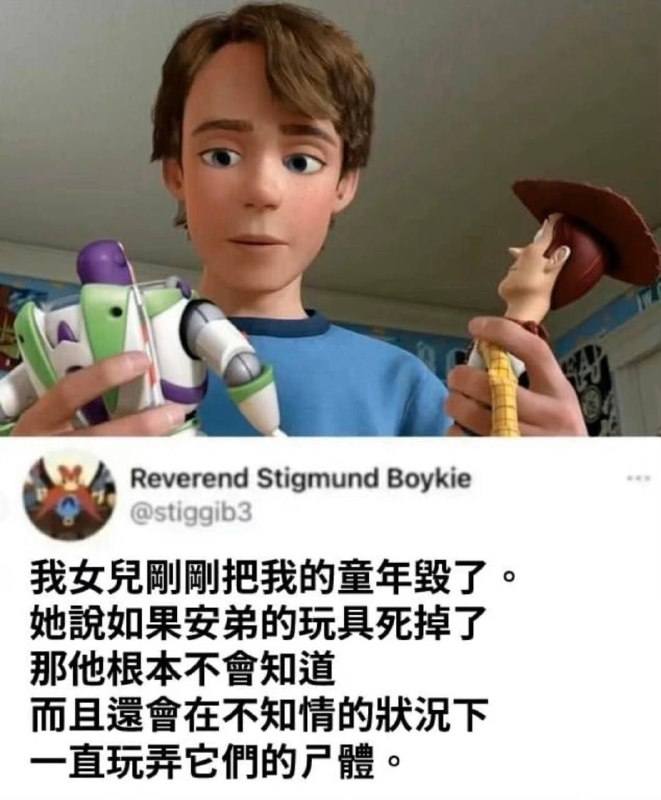 via 张某 犯罪嫌疑人