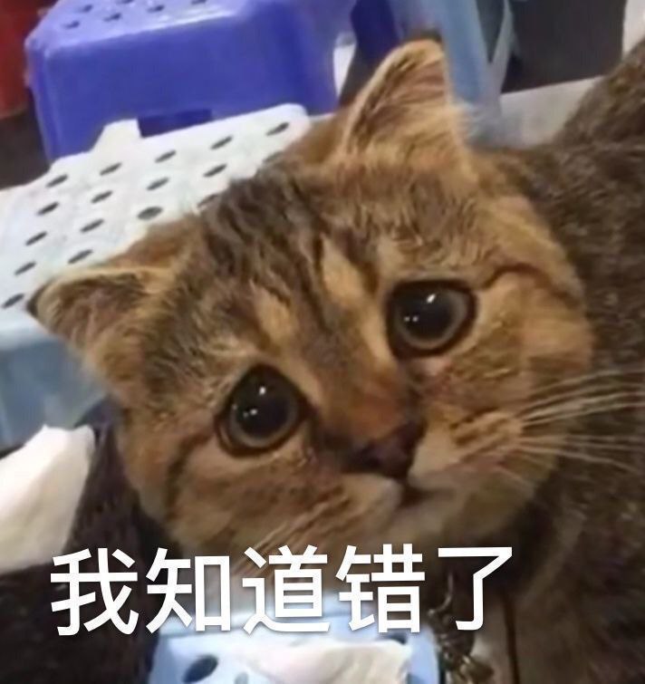 😿😸哈😿😸哈