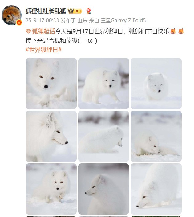 from QQ空间