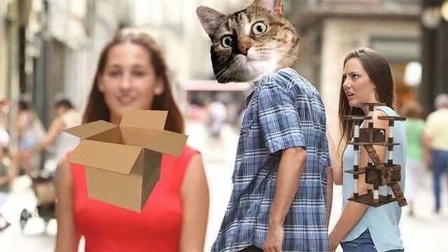 猫猫的新爬架到了，猫猫很喜欢猫猫的新爬架到了，猫猫很喜欢