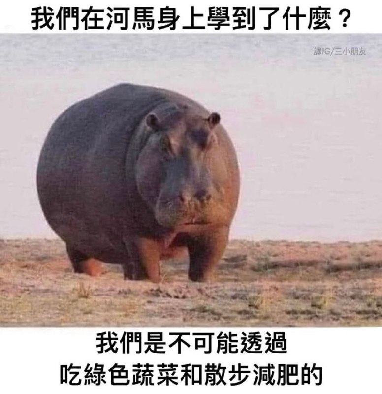 from 平壤卫视 via ㅤ