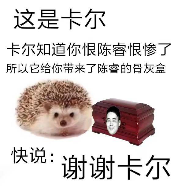 让卡尔在骨灰盒上扎个洞from 锋窝