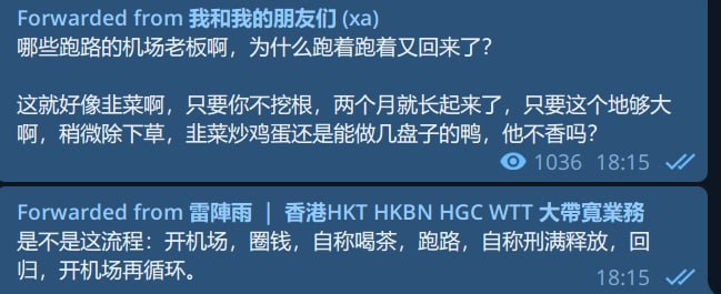 我怀疑你在说布丁，但是我没有证据