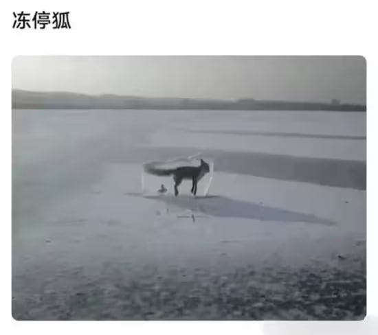 via 7号沙雕网友