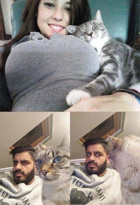 #猫猫from 平壤卫视