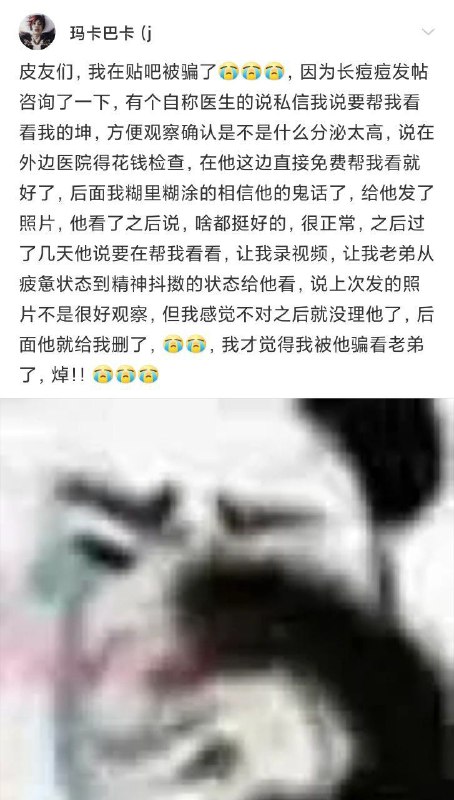 诡计多端的男同