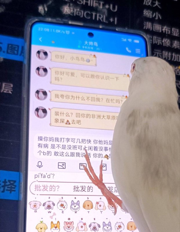 from 平壤卫视
