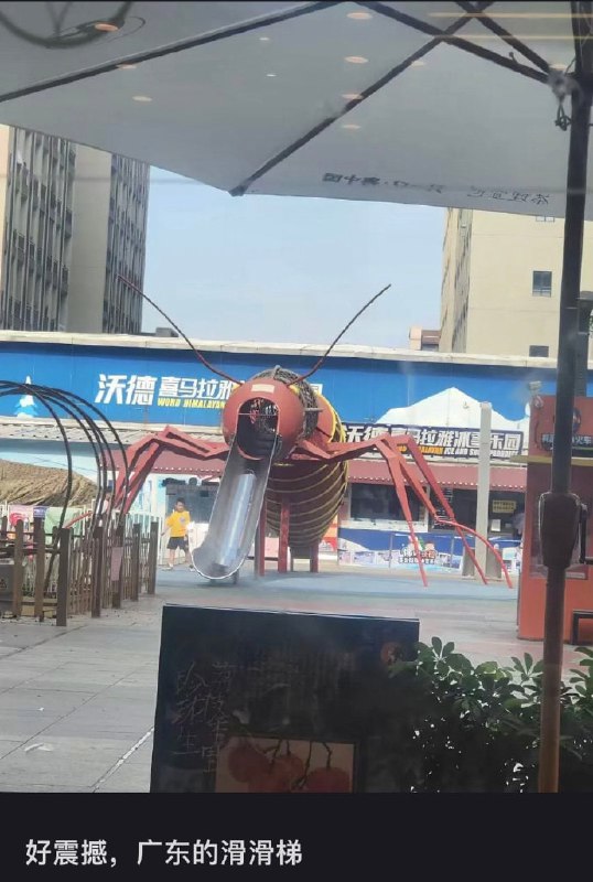 wtf？from 平壤卫视