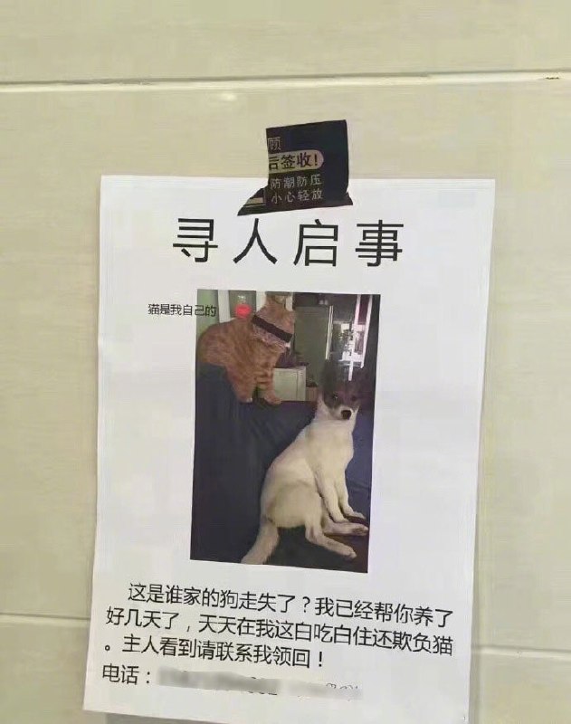 感觉他有点委屈但又有点可爱