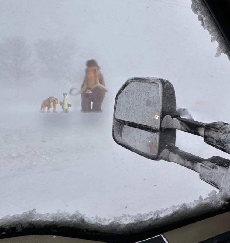 给我开哪来了，这还是国内吗