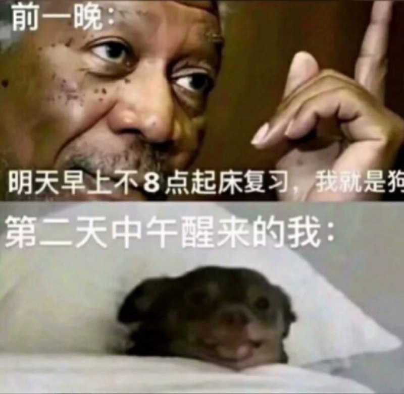 via 鸭累鸭累