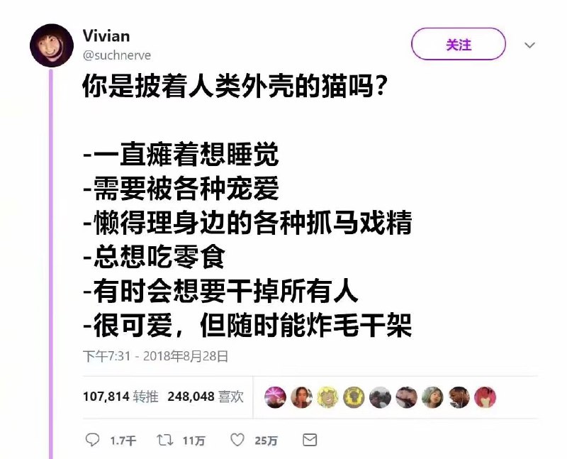 你是什么？你是什么？