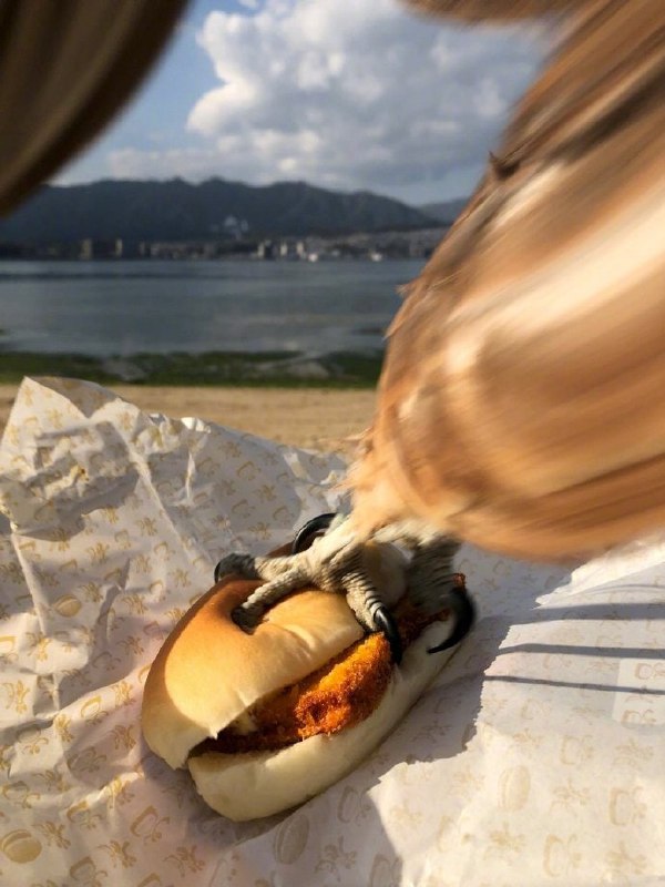 推上一位小哥在海边吃饭前拍个照的瞬间，然后……就没有然后了🦅（twi：Kota Minato） ​​​​