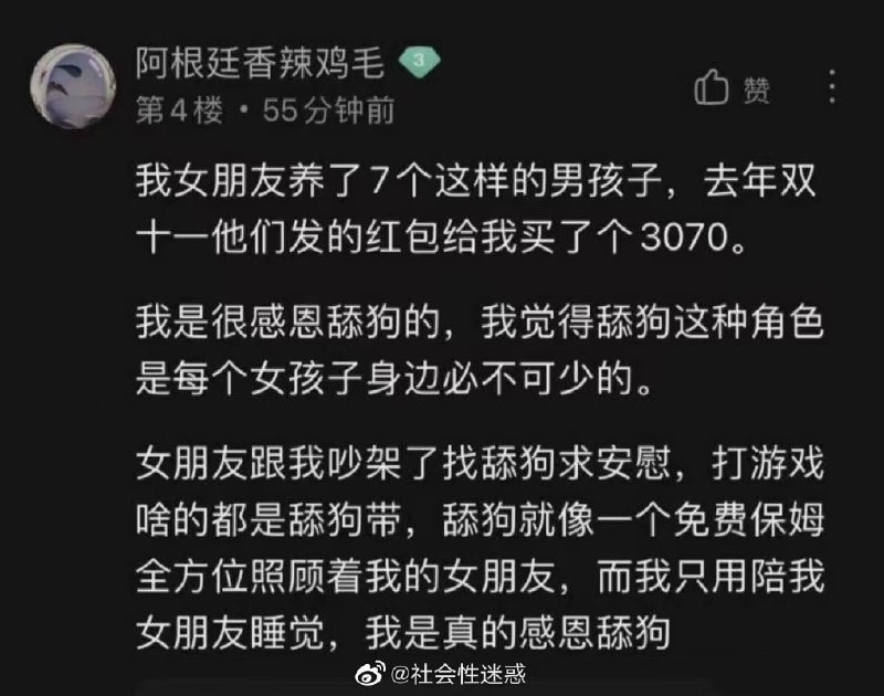 《七只舔狗的使命3》via Knight#精品