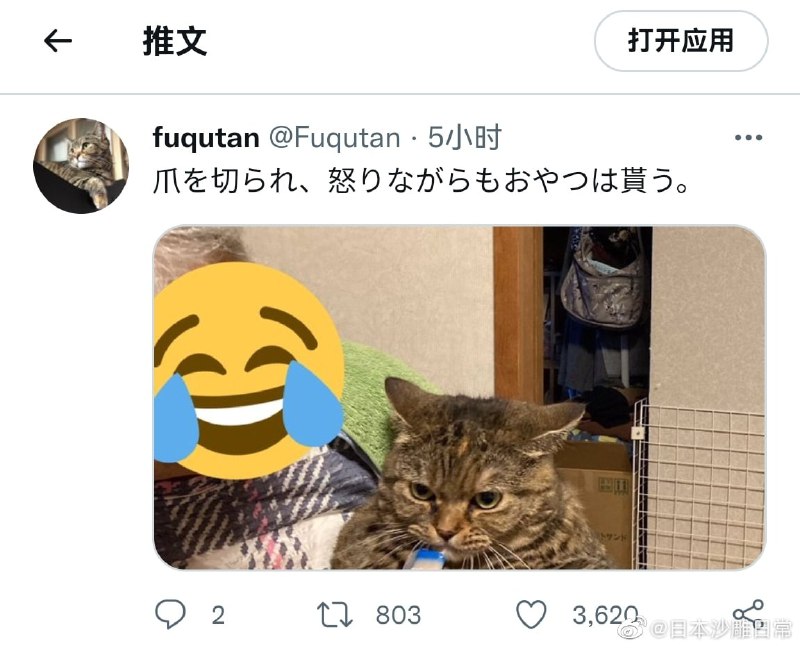 爪子被剪了，气归气，猫条还是要吃的爪子被剪了，气归气，猫条还是要吃的