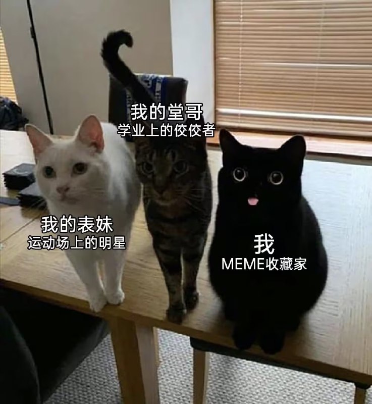 via 8号沙雕网友