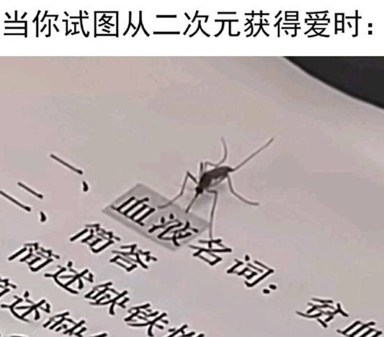 via 7号沙雕网友
