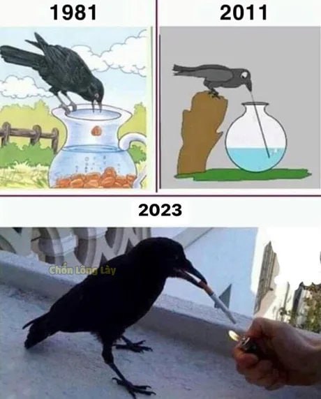 🤔from 平壤卫视
