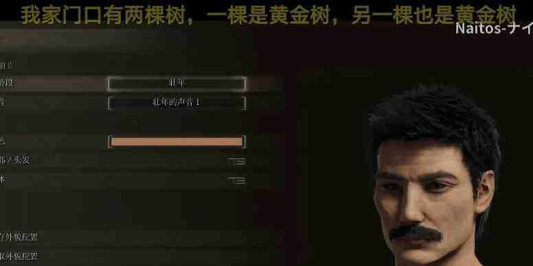 from 心惊报from 心惊报