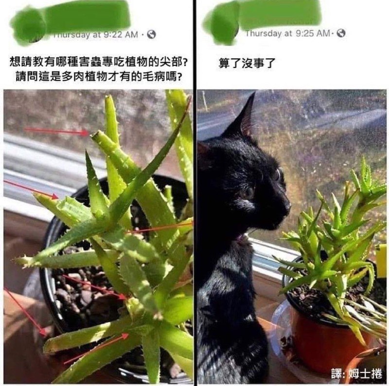 via DECADE