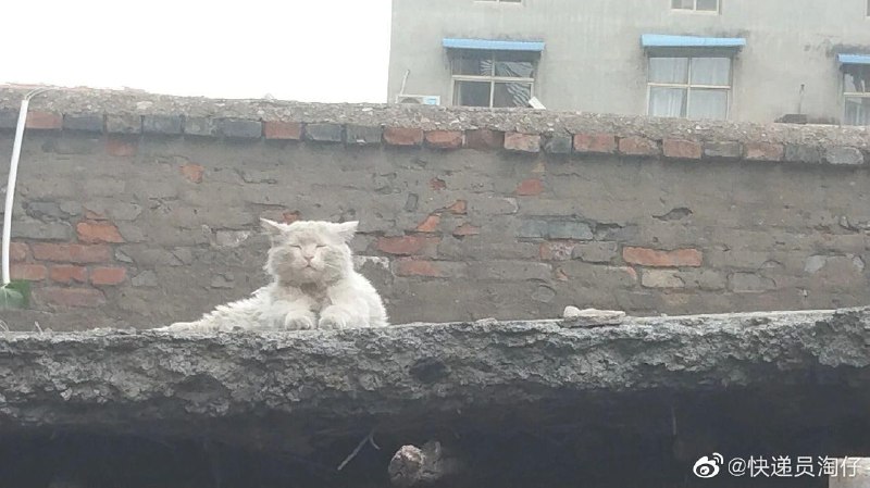 一看就写满了故事一看就写满了故事