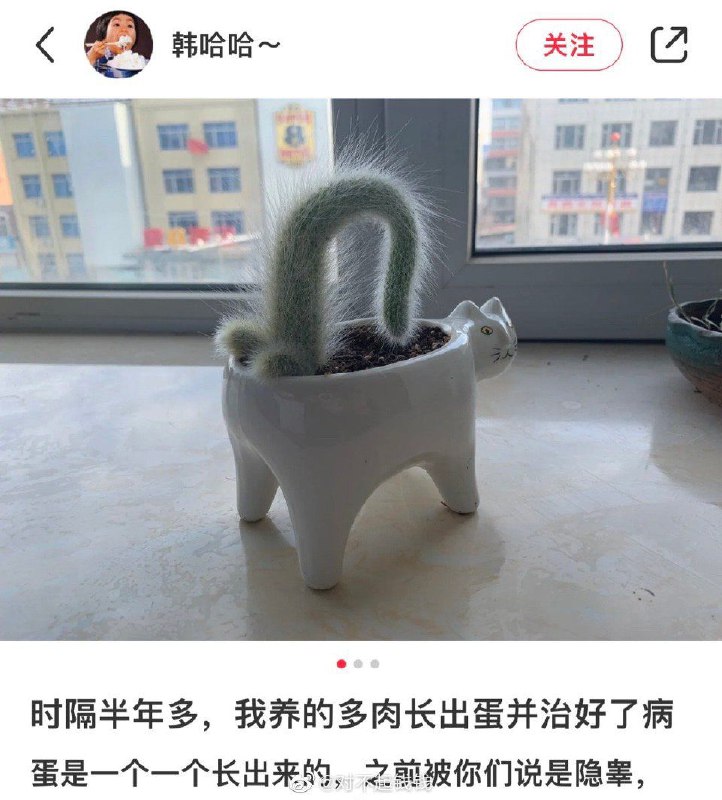 via 君生我未生，我生君已老