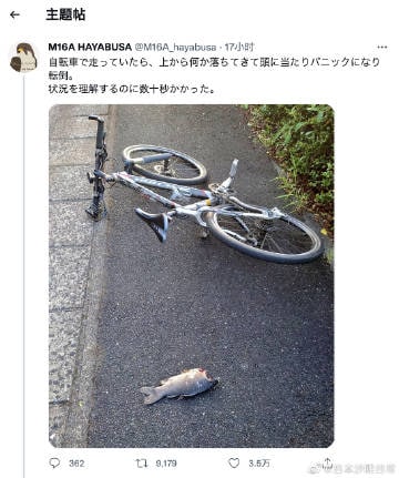 骑着自行车被从天而降的鱼砸中脑袋摔倒了，至今还没搞清楚发生了什么事情骑着自行车被从天而降的鱼砸中脑袋摔倒了，至今还没搞清楚发生了什么事情