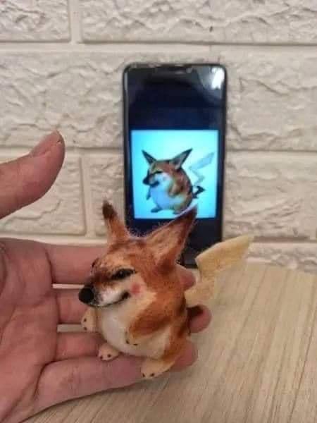 from 平壤卫视