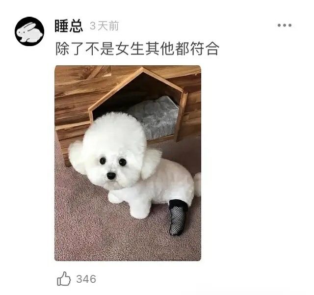求這種又純又欲的圖片😂求這種又純又欲的圖片😂