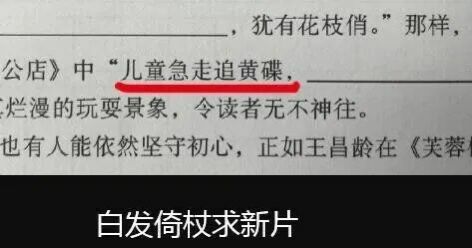 via keyword 233 🏳️‍⚧️ （有主 | 阿里境内CDN有售，单价0.08起