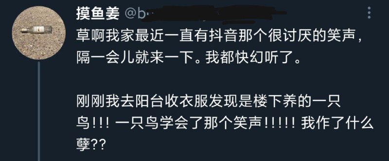from Headcrab👾 仿生狐🦊会梦到电子鲑鱼吗？🐟