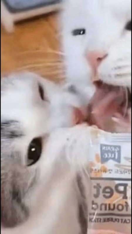 via 犯罪嫌疑人张某via 犯罪嫌疑人张某