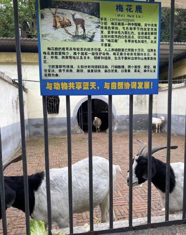 🤔️from 平壤卫视🤔️from 平壤卫视