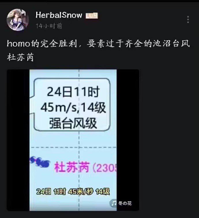 好臭的台风from 平壤卫视