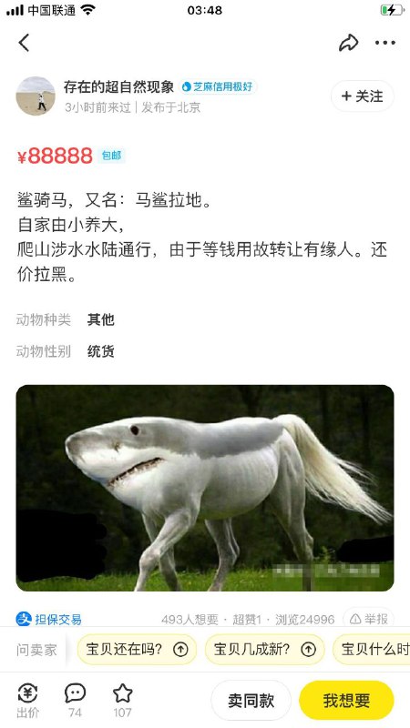 via 喵喵 猫猫via 喵喵 猫猫