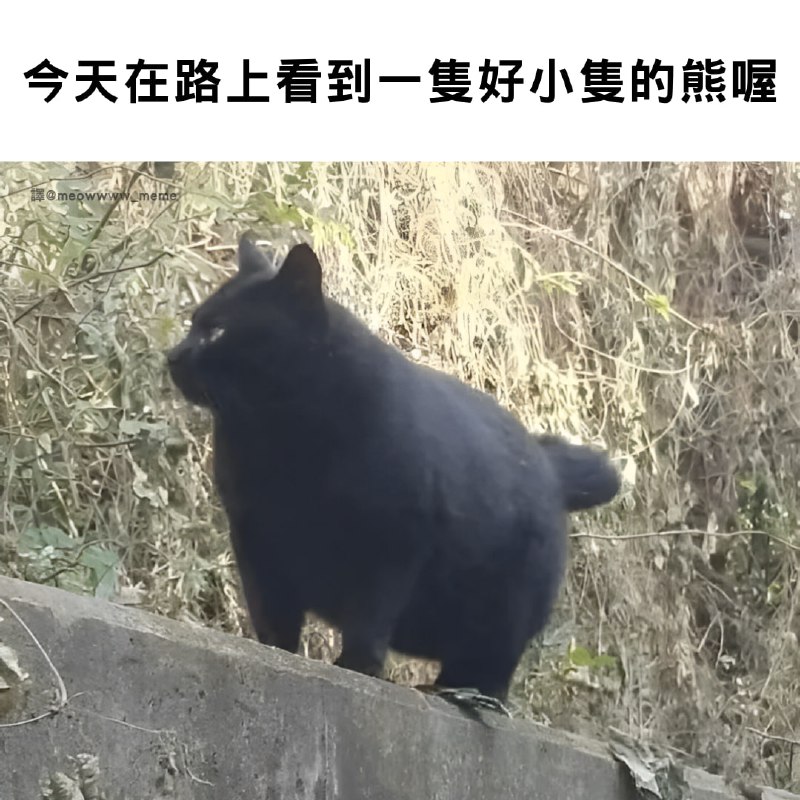 from 警察這裡有大麻🌿 via DECADE