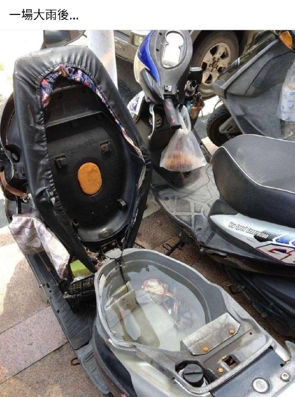 via 川辣 酱from 心惊报 🪑via 川辣 酱from 心惊报 🪑