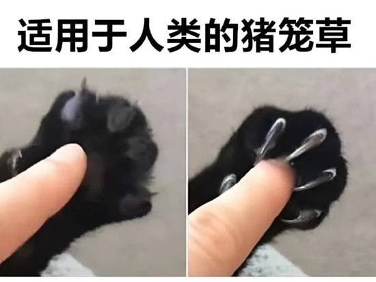 via 7号沙雕网友