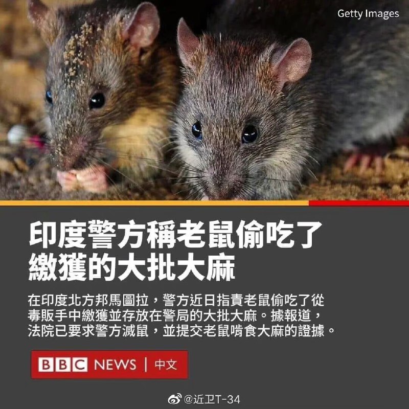 via 艾莉卡 ☭