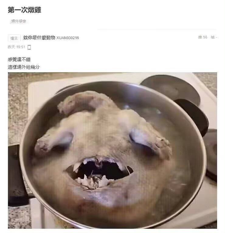？from 平壤卫视
