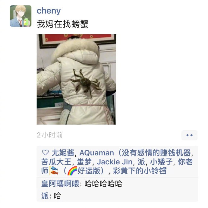 from 平壤卫视