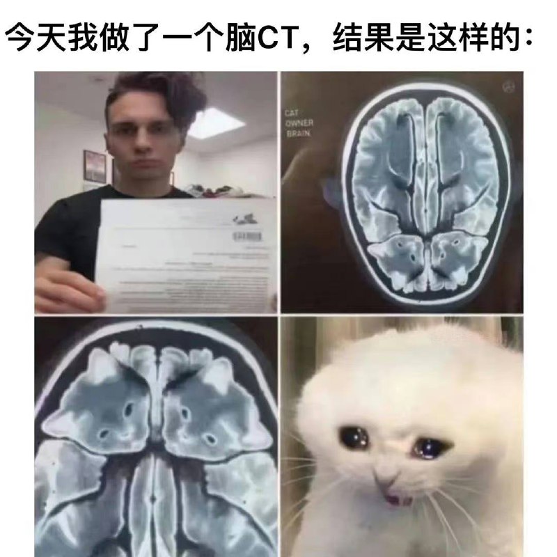🤔️from 平壤卫视
