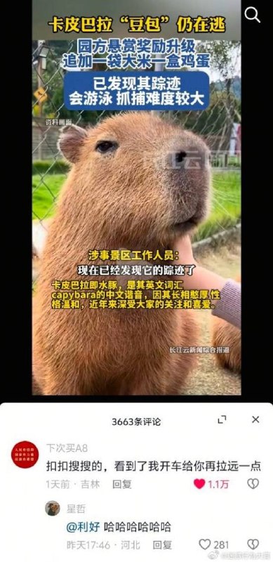 via 7号沙雕网友