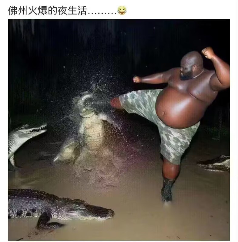 via 蕾尔赫莉特ᯤ⁶ᴳ⁺from 心惊报 via efsg