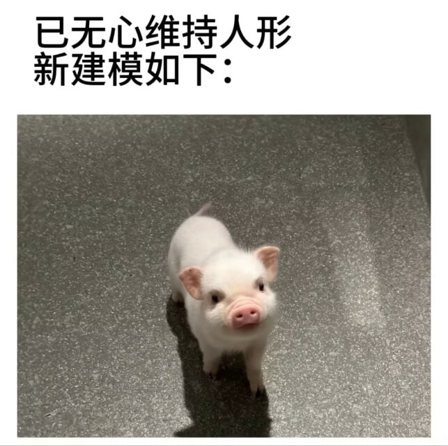 via Mr.Yan