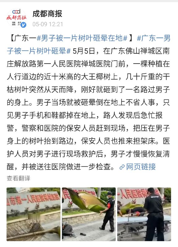 这标题………没毛病