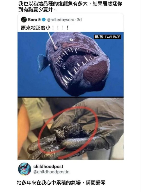 原來這麽小？還以為是貴花魚那種大小from 什麼都來點 via DECADE