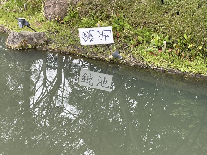 镜池from 平壤卫视 via ㅤ镜池from 平壤卫视 via ㅤ