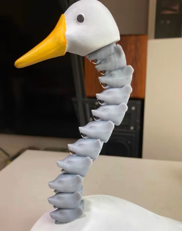 from 平壤卫视